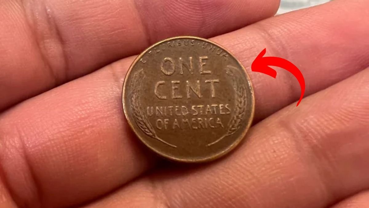 From 1 Cent to $80 Million: The Lincoln Penny Everyone’s Searching For
